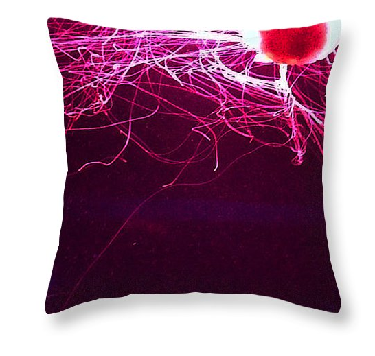 jellyfish pillow