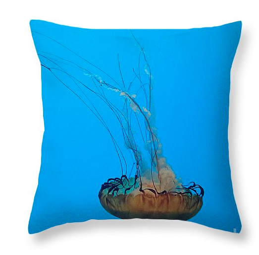 blue jellyfish art